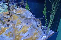 IMG 0391