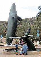 IMG 0399