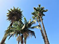 IMG 0441