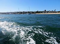 IMG 0456