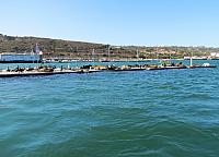 IMG 0466