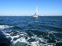 IMG 0471