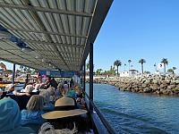 IMG 0479 (2)
