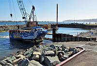 IMG 0483