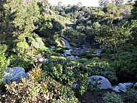 IMG 0488