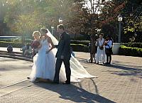IMG 0504 (2)