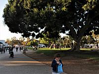 IMG 0511