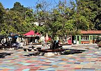IMG 0570