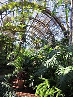 IMG 0576