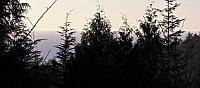IMG 0845