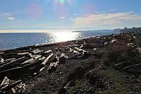 IMG 0869