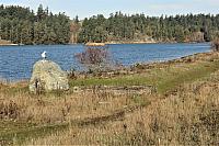 IMG 0873