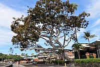 IMG 0963