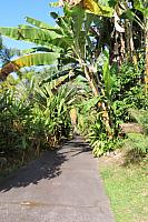 IMG 0984
