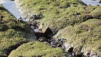 IMG 0988