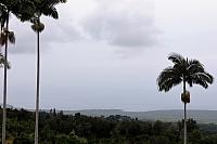 IMG 1023