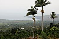 IMG 1028