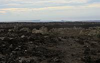 IMG 1097