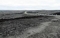 IMG 1155
