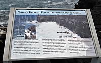 IMG 1174