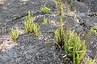 IMG 1181