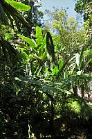 IMG 1216