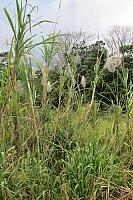 IMG 1283