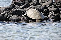 IMG 1356