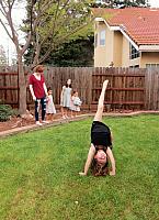 IMG 1523