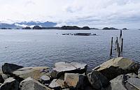 IMG 1753