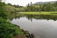 IMG 1796