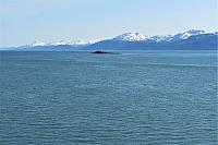 IMG 1991