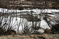 IMG 2216
