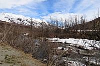 IMG 2218