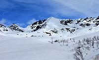 IMG 2231