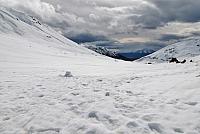 IMG 2234