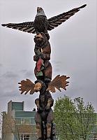 IMG 2259