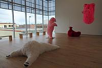 IMG 2319