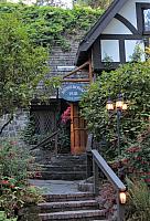 IMG 2611