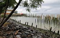 IMG 2877