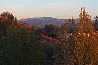 IMG 3096