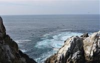 IMG 3394