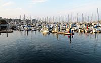 IMG 3458