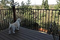 IMG 3116