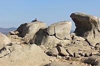 IMG 3137