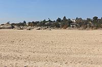 IMG 3146