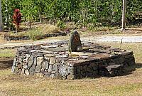 IMG 3542