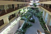 IMG 3618