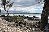 IMG 3640