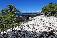 IMG 3648